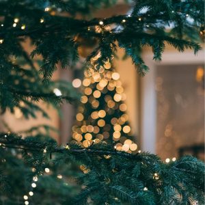 корпоративы новый год